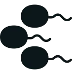 Father SVG Icon